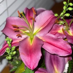 Meet your Posher, Constance